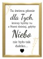 3af5f72ee7319c8ee981302f760d851d