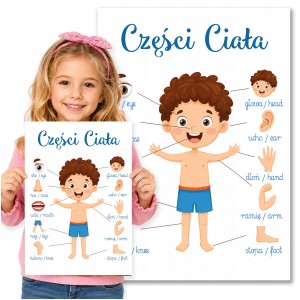 PLAKAT EDUKACYJNY DO NAUKI - CZĘŚCI CIAŁA CHŁOPIEC - DUŻY A3 + FOLIA [17]