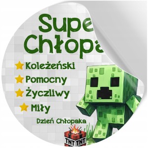 NAKLEJKI NA DZIEŃ CHŁOPAKA DZIEWCZYNKI PREZENT DO SZKOŁY MINECRAFT wz200